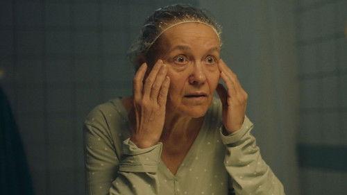 Palimpsest filmas žiurėti online