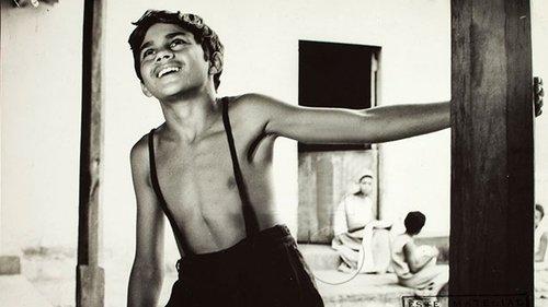 Plantation Boy filmas žiurėti online