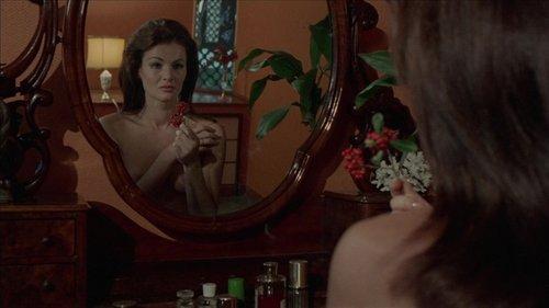 La gatta in calore filmas žiurėti online