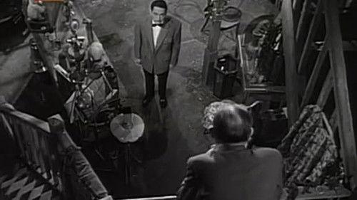 Trust Me! filmas žiurėti online