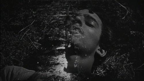 Los olvidados filmas žiurėti online