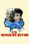 Un singe en hiver filmas