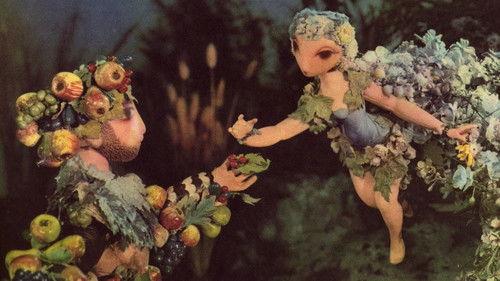 A Midsummer's Night Dream filmas žiurėti online