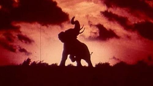 Tusk filmas žiurėti online