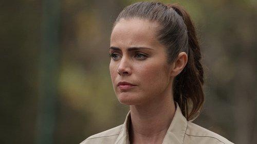 RoboCroc filmas žiurėti online