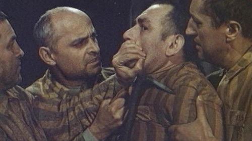 Hranjenik filmas žiurėti online