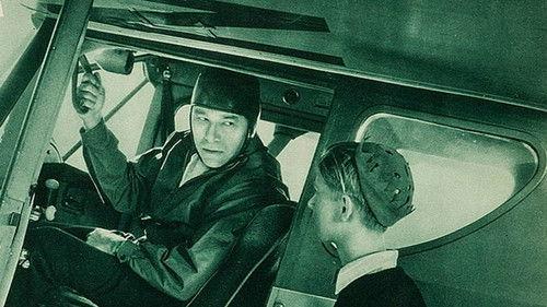 Sky Raiders filmas žiurėti online