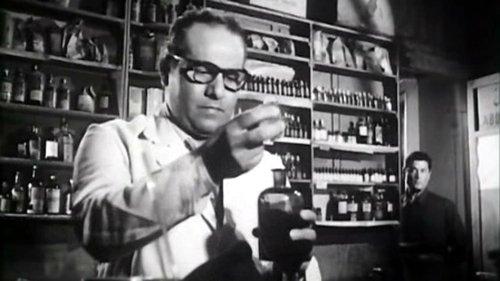 The Thief and the Dogs filmas žiurėti online