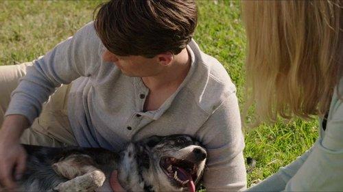 Alex & the List filmas žiurėti online