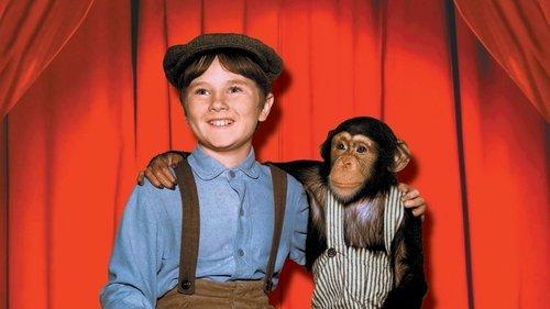 Toby Tyler or Ten Weeks with a Circus filmas žiurėti online