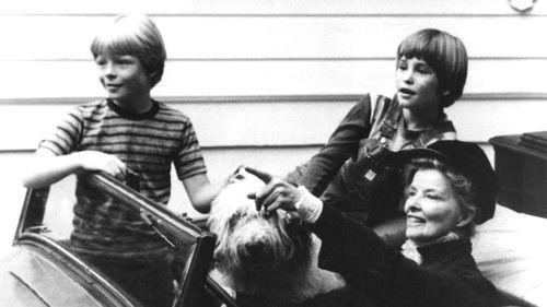 Olly Olly Oxen Free filmas žiurėti online