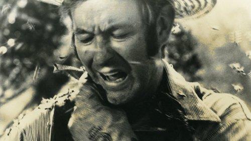 The Savage Bees filmas žiurėti online