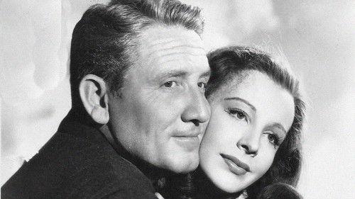 The Seventh Cross filmas žiurėti online