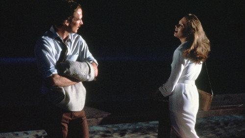 Body Heat filmas žiurėti online