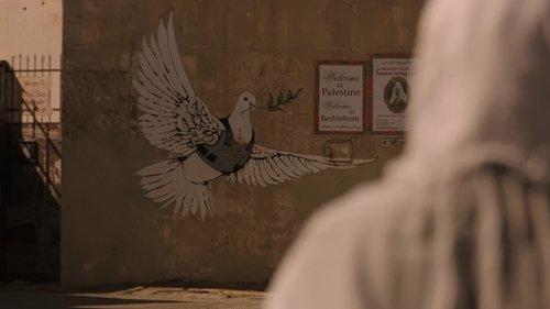 Where Olive Trees Weep filmas žiurėti online