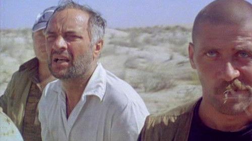 Stray Dogs filmas žiurėti online