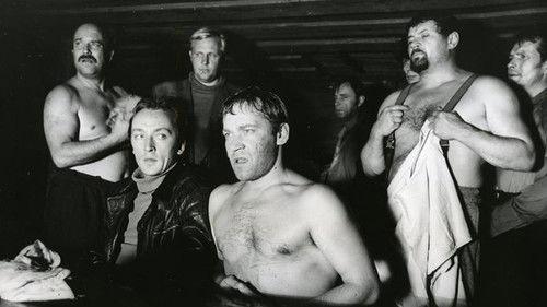 Wild Violets filmas žiurėti online