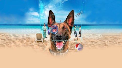 R.A.D.A.R.: The Adventures of the Bionic Dog filmas žiurėti online