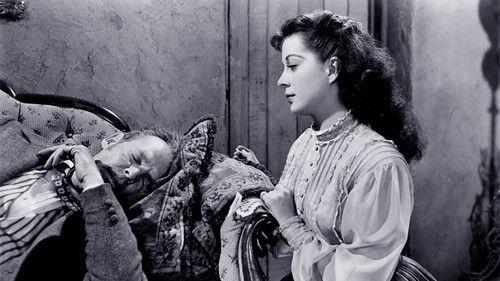 El Paso filmas žiurėti online