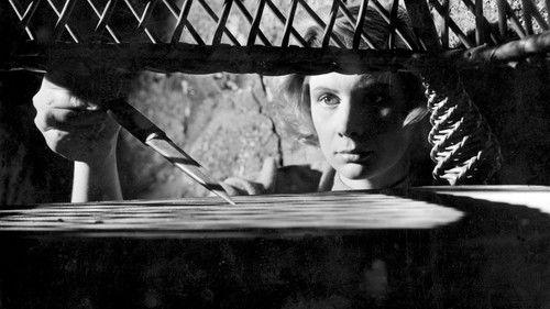 Fängelse filmas žiurėti online