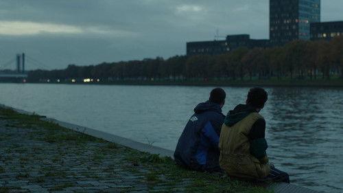 Molt lluny filmas žiurėti online