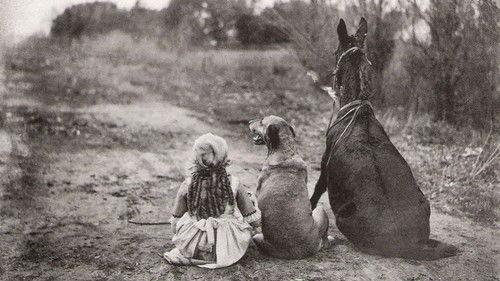 Through The Back Door filmas žiurėti online