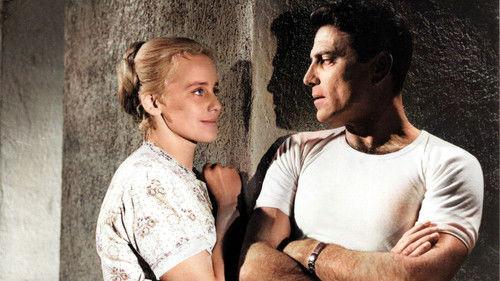 Rose Bernd filmas žiurėti online