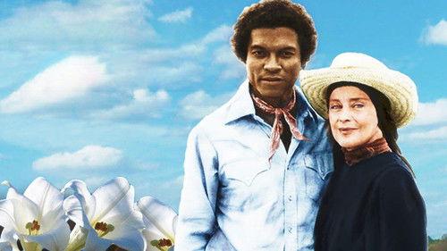 Christmas Lilies of the Field filmas žiurėti online