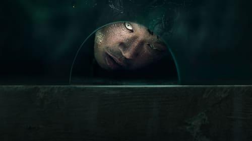 The 8th Night filmas žiurėti online