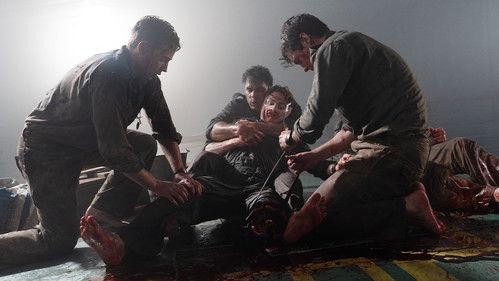 Karo žvėris filmas žiurėti online