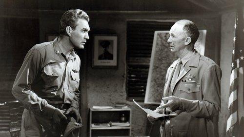 The Wild Blue Yonder filmas žiurėti online