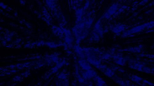 New York City Opera: A Little Night Music filmas žiurėti online