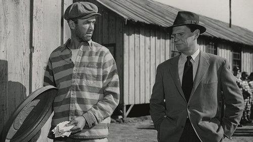 Carbine Williams filmas žiurėti online