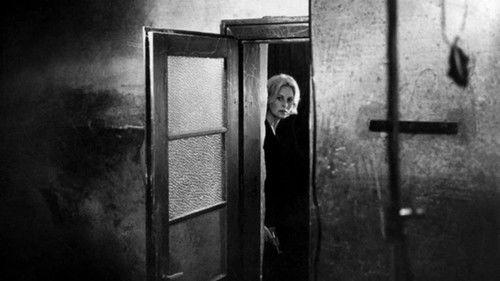 Les Yeux cernés filmas žiurėti online