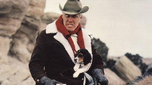 Five Days from Home filmas žiurėti online