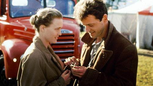 The Playboys filmas žiurėti online