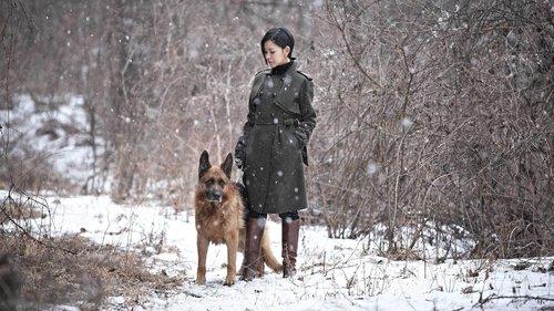 Venus in Furs filmas žiurėti online