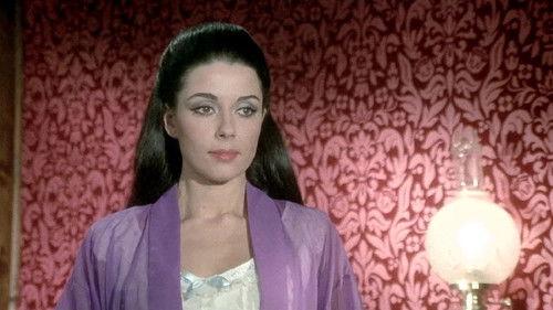 Killer 77, Alive or Dead filmas žiurėti online