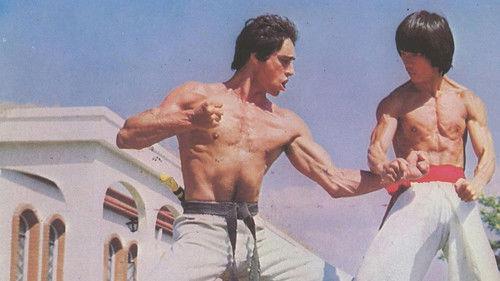 Bruce's Fists Of Vengeance filmas žiurėti online