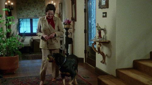 Play Dead filmas žiurėti online