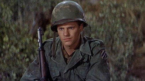 The Young Warriors filmas žiurėti online