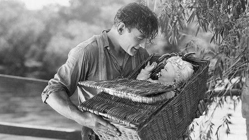 Lazybones filmas žiurėti online