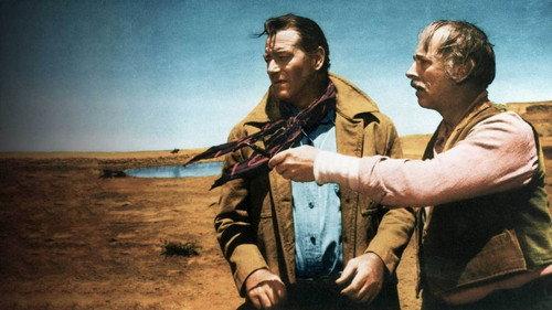 Ieškotojai filmas žiurėti online
