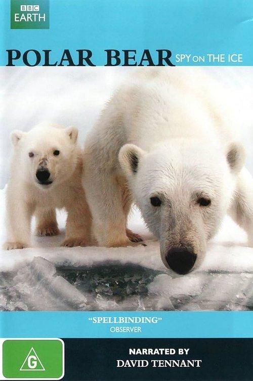 Polar Bear - Spy on the Ice filmas online