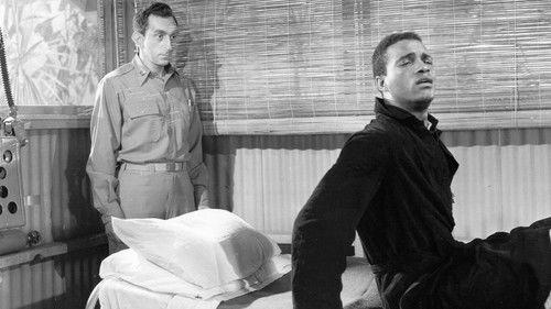 Home of the Brave filmas žiurėti online