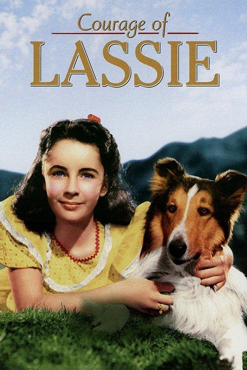 Courage of Lassie filmas online