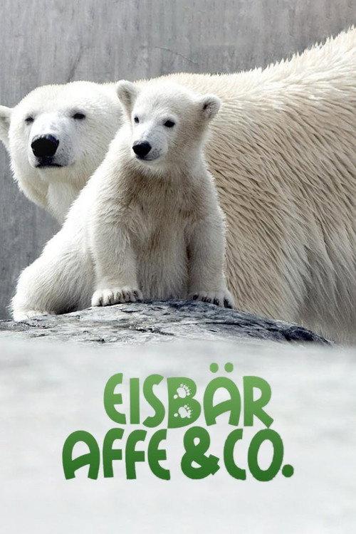 Eisbär, Affe & Co. filmas online