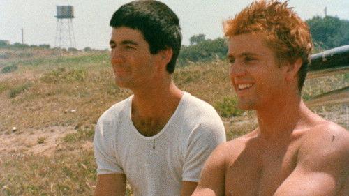 Summer City filmas žiurėti online