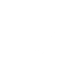 ICS Nordic studio logo