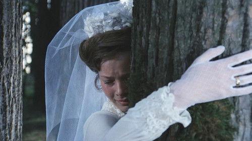 My Tender and Affectionate Beast filmas žiurėti online